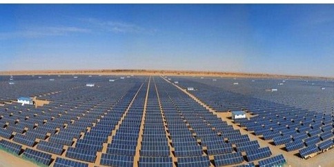 光伏行業(yè)哭了，是政府捅了馬蜂窩？